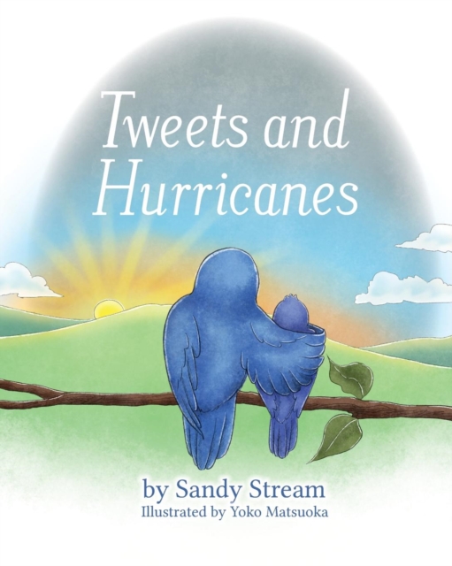 Tweets and Hurricanes, Paperback / softback Book