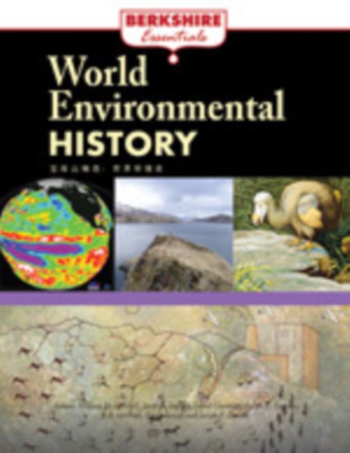 World Environmental History, PDF eBook