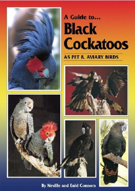 Black Cockatoos as Pet and Aviary Birds, Paperback / softback Book