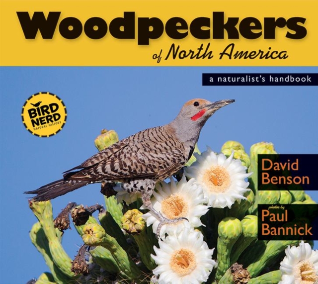 Woodpeckers of North America : A Naturalist's Handbook, Paperback / softback Book