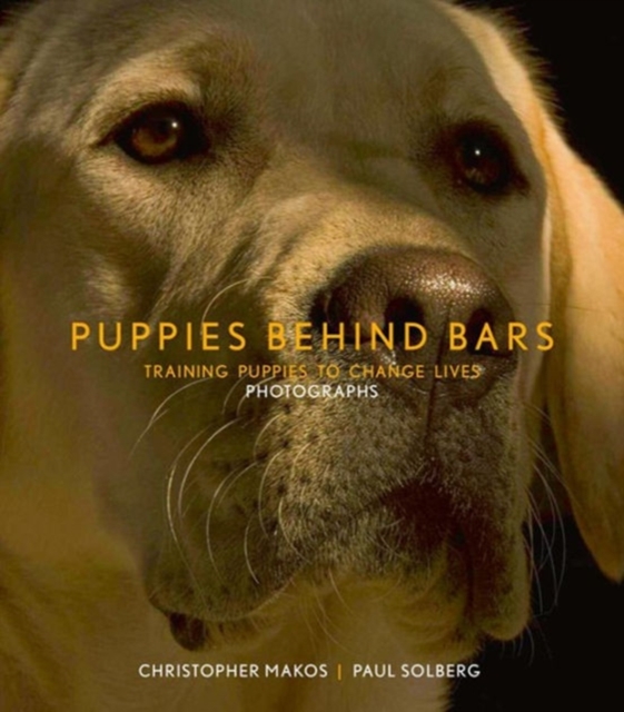 Puppies Behind Bars : Training Puppies to Change Lives, Hardback Book