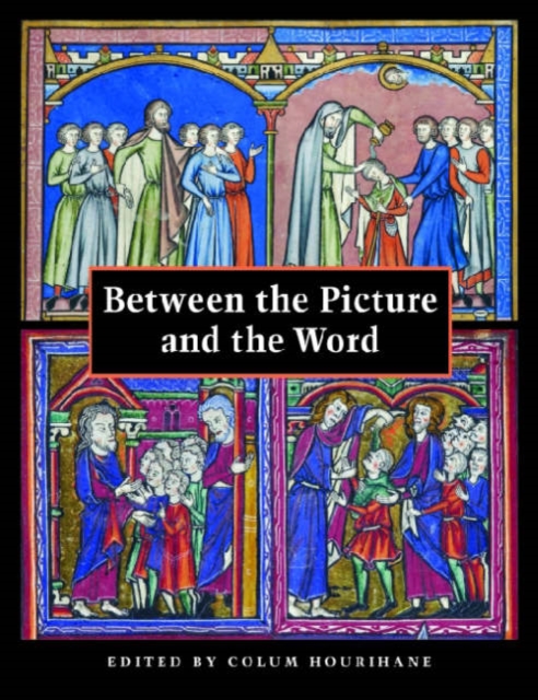 Between the Picture and the Word : Essays in Commemoration of John Plummer, Hardback Book