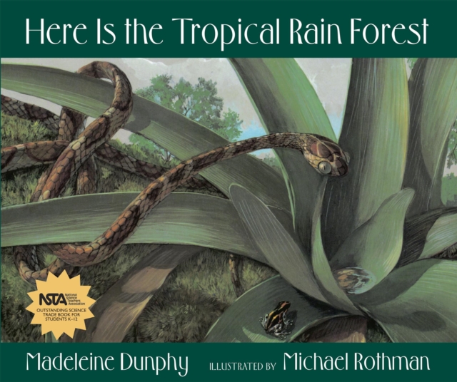Here Is the Tropical Rain Forest, Hardback Book