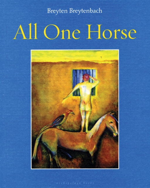 All One Horse, Paperback / softback Book