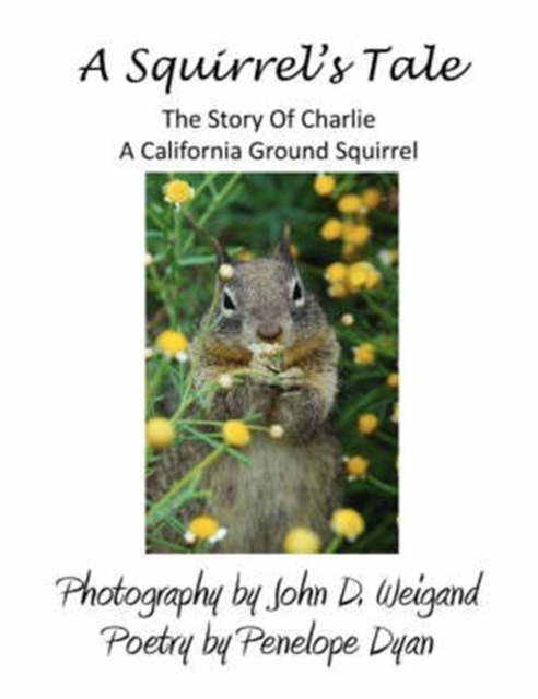 A Squirrel's Tale : The Story of Charlie, a California Ground Squirrel, Paperback / softback Book