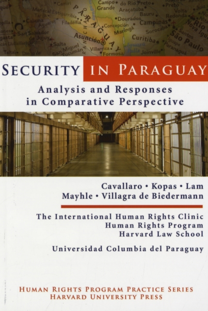 Security in Paraguay : Analysis and Responses in Comparative Perspective, Paperback / softback Book