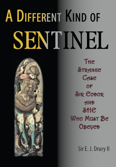Different Kind of Sentinel, EPUB eBook