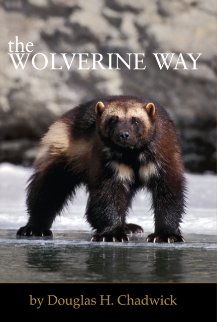 The Wolverine Way, Paperback / softback Book