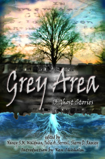 Grey Area: 13 Ghost Stories, EPUB eBook