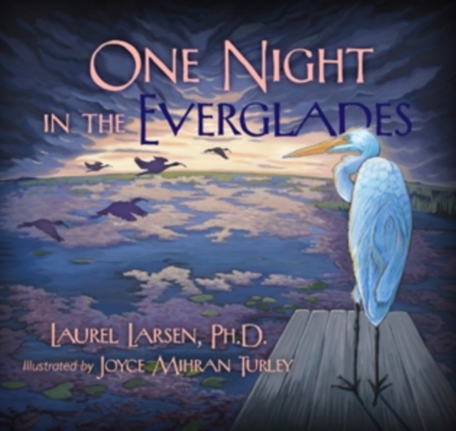 One Night in the Everglades, Hardback Book