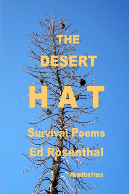 The Desert Hat, Paperback / softback Book