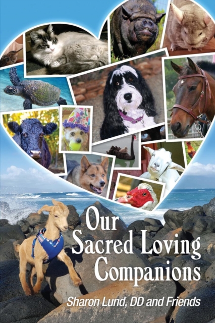 Our Sacred Loving Companions, Paperback / softback Book