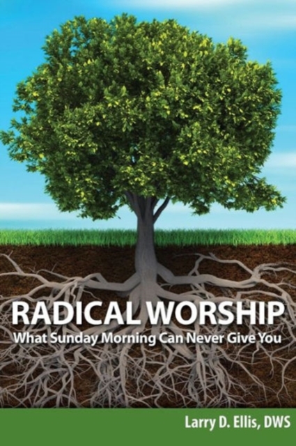 Radical Worship : What Sunday Morning Can Never Give You, Paperback / softback Book