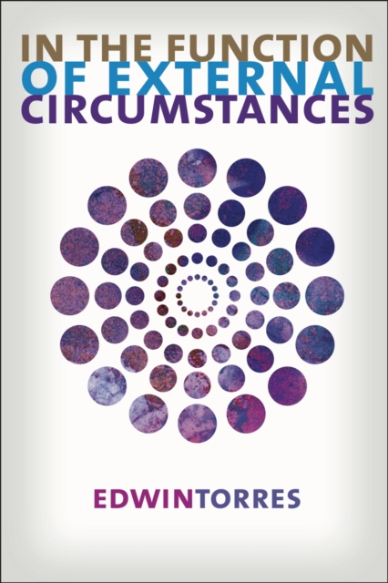 In the Function of External Circumstances, Paperback / softback Book