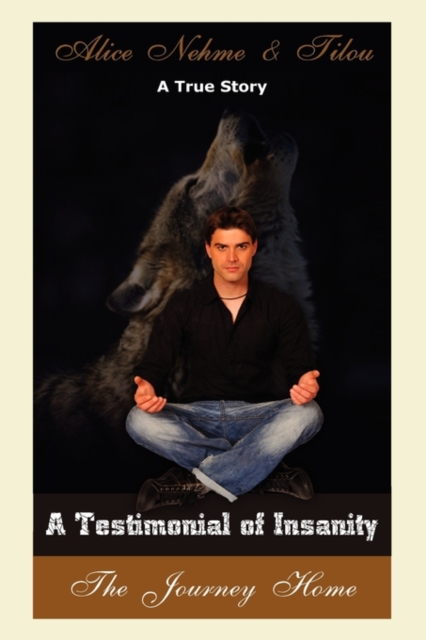 A Testimonial of Insanity, Paperback / softback Book