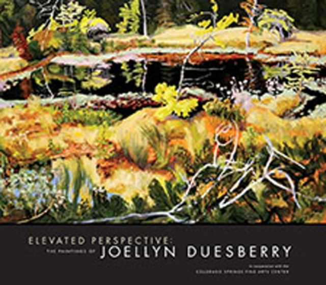 Elevated Perspective : The Paintings of Joellyn Duesberry, Hardback Book