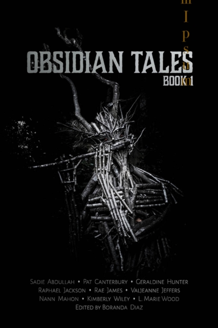 Obsidian Tales : Book One, Paperback / softback Book