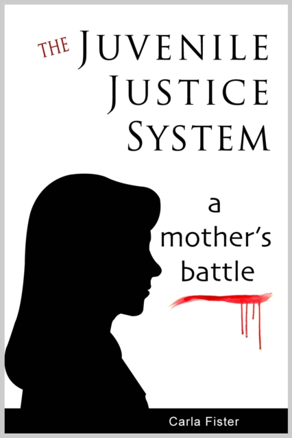Juvenile Justice System; A Mother's Battle, EPUB eBook