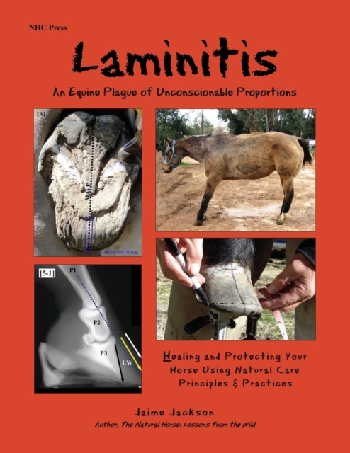 Laminitis: An Equine Plague of Unconscionable Proportions : Healing and Protecting Your Horse Using Natural Principles & Practices, Paperback / softback Book