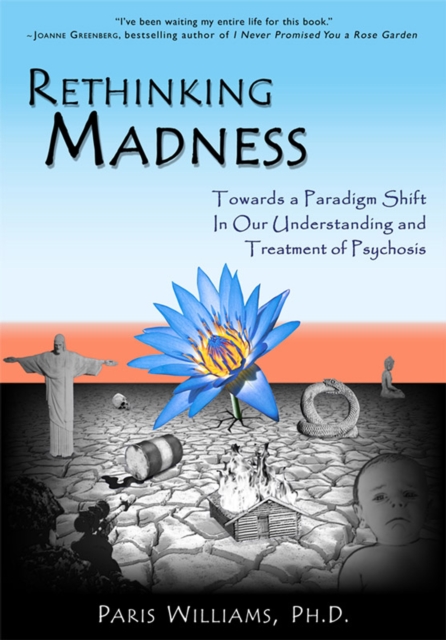 Rethinking Madness, EPUB eBook
