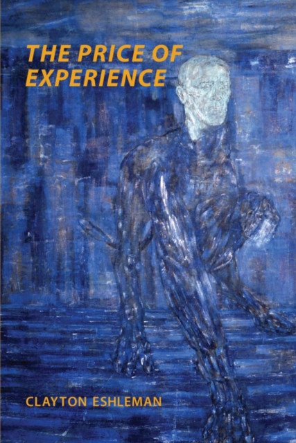 The Price of Experience, Paperback / softback Book