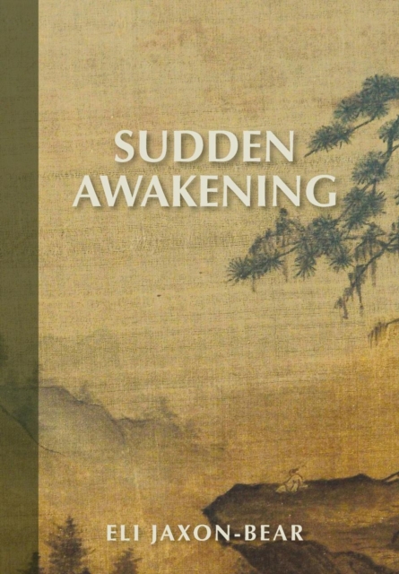 Sudden Awakening, Hardback Book