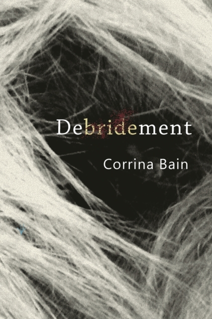 Debridement, Paperback / softback Book