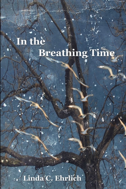 In the Breathing Time, Paperback / softback Book