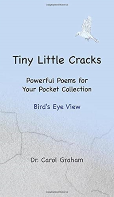 Tiny Little Cracks : Powerful Poems for Your Pocket Collection: Bird's Eye View, Hardback Book