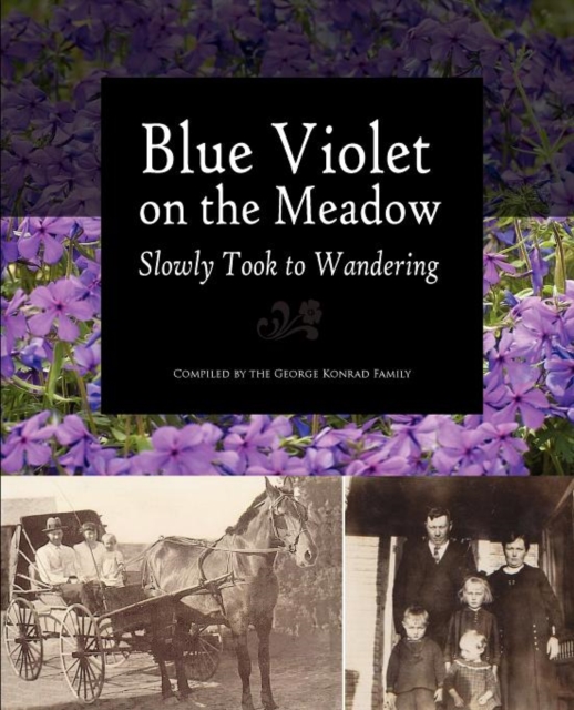 Blue Violet on the Meadow Slowly Took to Wandering, Paperback / softback Book