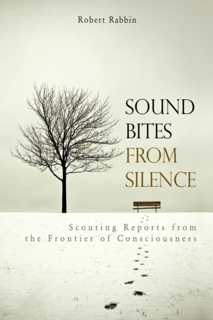 Sound Bites from Silence : Scouting Reports from the Frontier of Consciousness, Paperback / softback Book