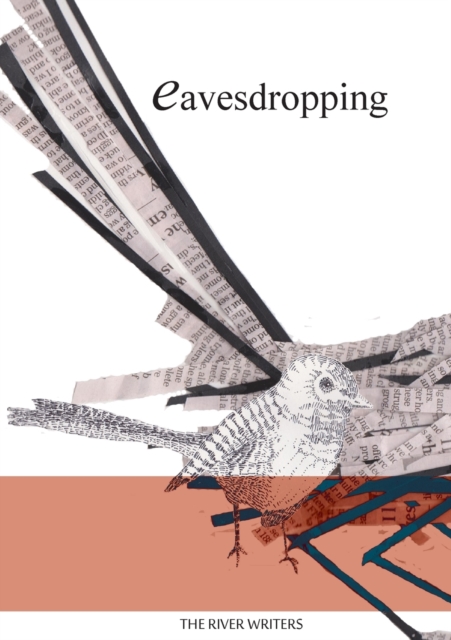 Eavesdropping, Paperback / softback Book