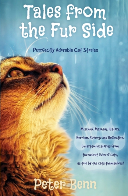 Tales from the Fur Side : Purrfectly Adorable Cat Stories, Paperback / softback Book