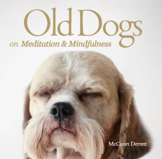 Old Dogs on Meditation and Mindfulness, Paperback / softback Book