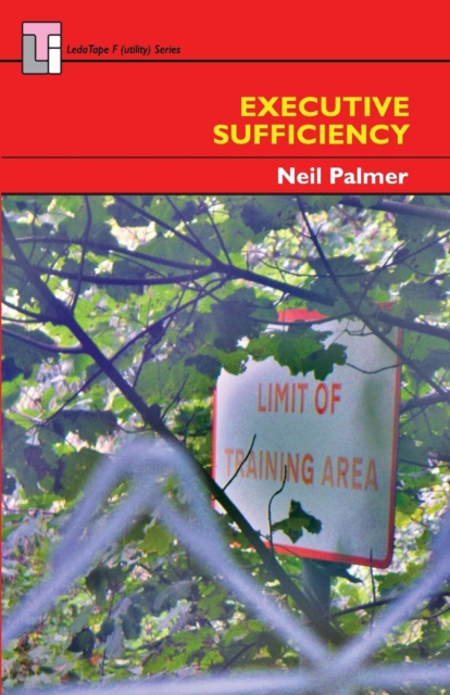 Executive Sufficiency, Paperback / softback Book