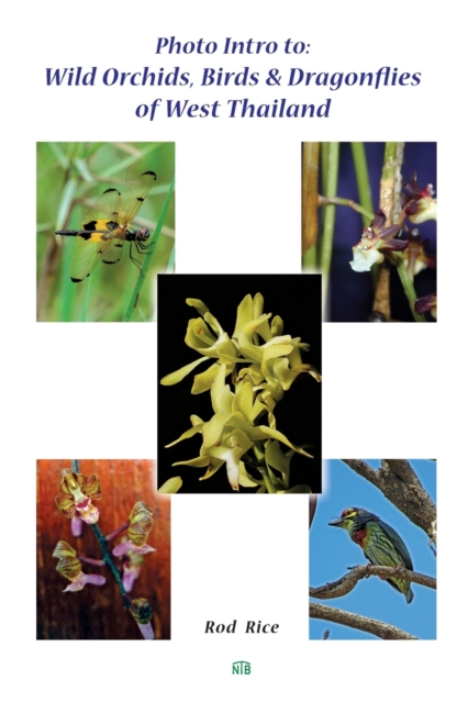 Photo Intro to : Wild Orchids, Birds & Dragonflies of West Thailand, Paperback / softback Book