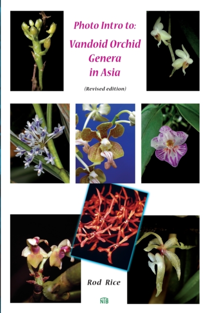 Photo Intro to : Vandoid Orchid Genera in Asia, Paperback / softback Book