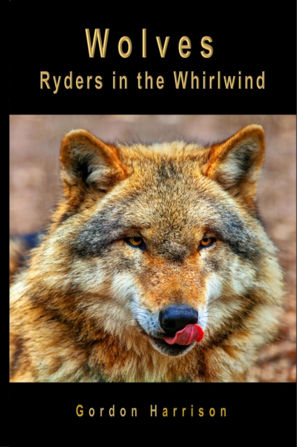 Wolves : Ryders in the Whirlwind, EPUB eBook