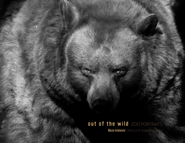 Out of the Wild : Zoo Portraits, Hardback Book
