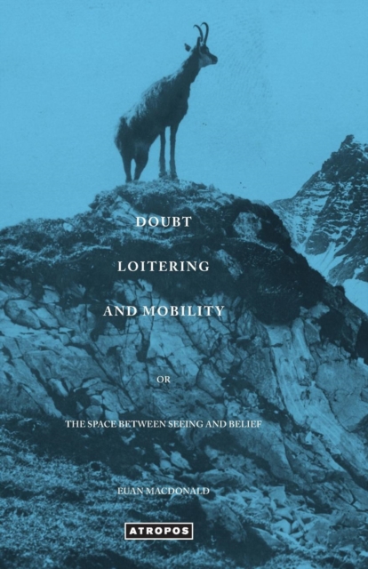 Doubt Loitering and Mobility, Paperback / softback Book