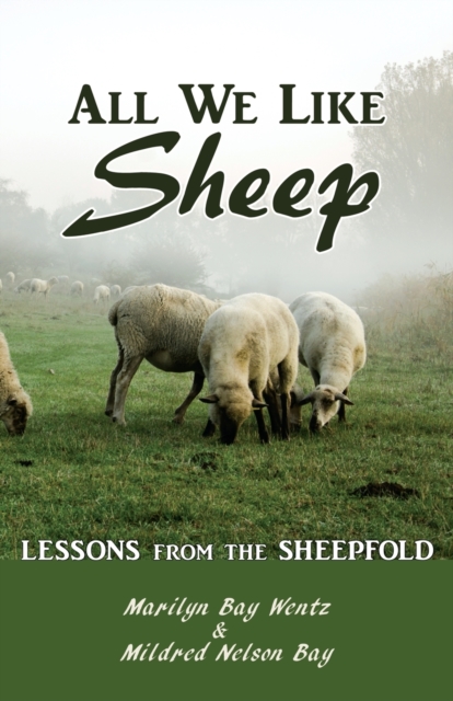 All We Like Sheep : Lessons from the Sheepfold, Paperback / softback Book