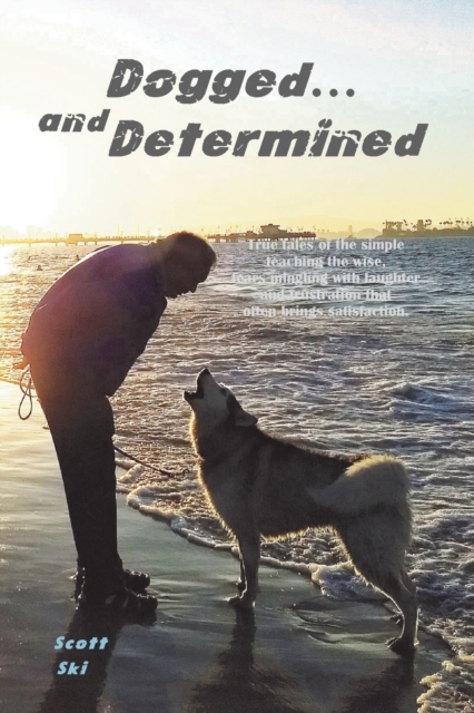 Dogged and Determined : True Tales of Rescued Dogs and Cats... And The Lessons They Taught, Paperback / softback Book