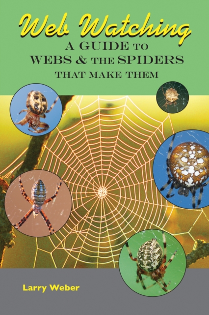 Web Watching : A Guide to Webs & the Spiders That Make Them, Paperback / softback Book