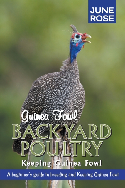 Guinea Fowl, Backyard Poultry : Keeping Guinea Fowl, Paperback / softback Book