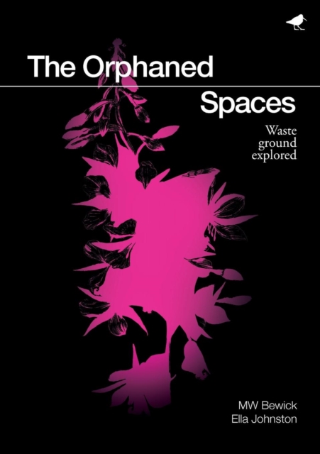 The Orphaned Spaces : Exploring Waste Ground, Paperback / softback Book