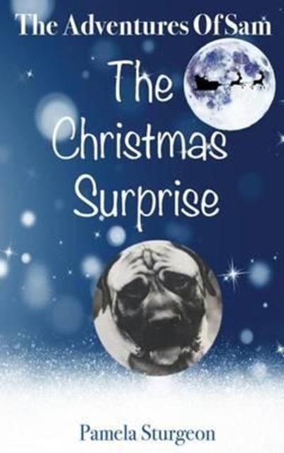 The Adventures of Sam - The Christmas Surprise, Paperback / softback Book