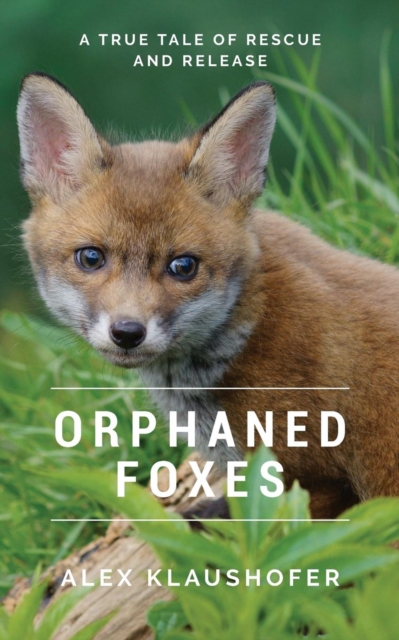 Orphaned Foxes : A true tale of Rescue and Release, Paperback / softback Book