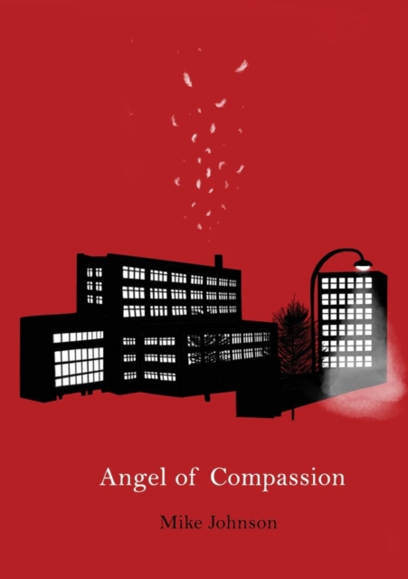 Angel of Compassion, Paperback / softback Book