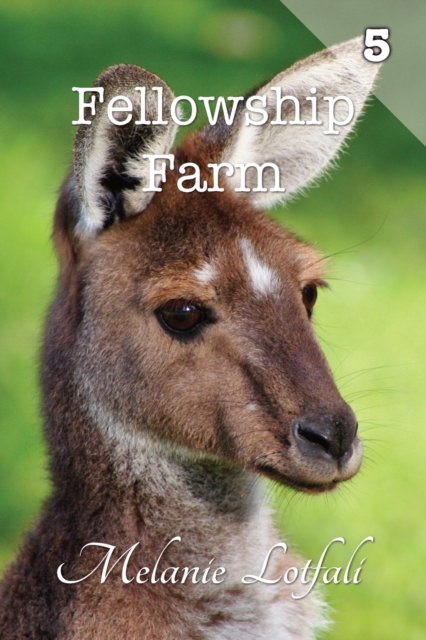 Fellowship Farm 5 : Books 13-15, Paperback / softback Book