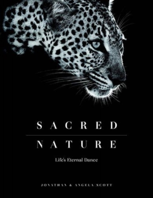 Sacred Nature : Life's Eternal Dance, Hardback Book
